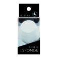 missha water in sponge