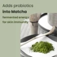 matcha biome repair cream5