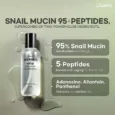 Snail Mucin 95 Peptide Essence3