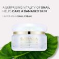 missha-super-aqua-cell-renew-snail-cream