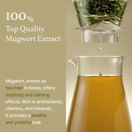 mugwort essence 7